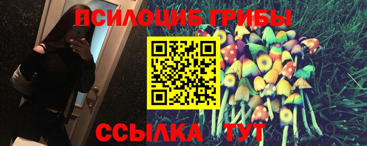 Лсд 25 Великий Устюг